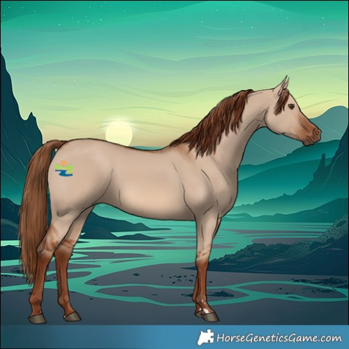 Horse Color:Red Dun Rabicano