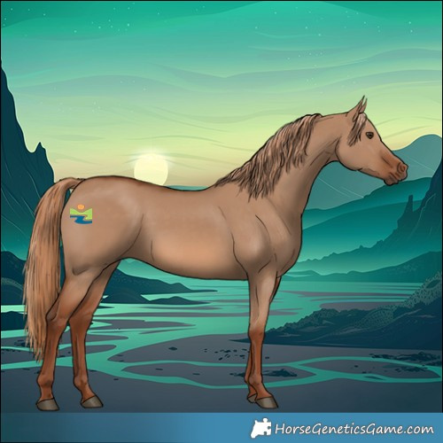 Horse Color:Red Dun Rabicano