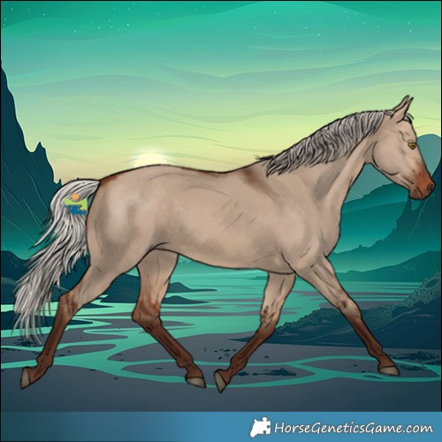 Horse Color:Silver Brown Dun 