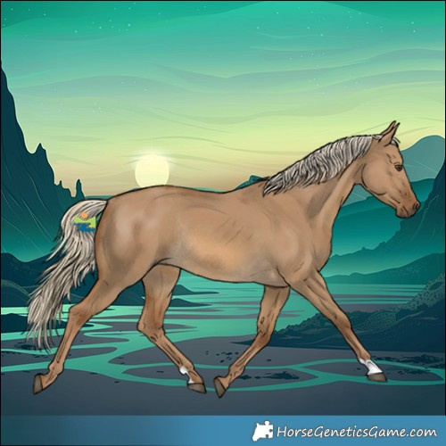Horse Color:Chocolate Palomino Dun Rabicano 