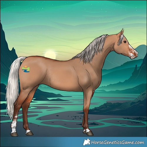 Horse Color:Silver Bay Dun Sabino Rabicano