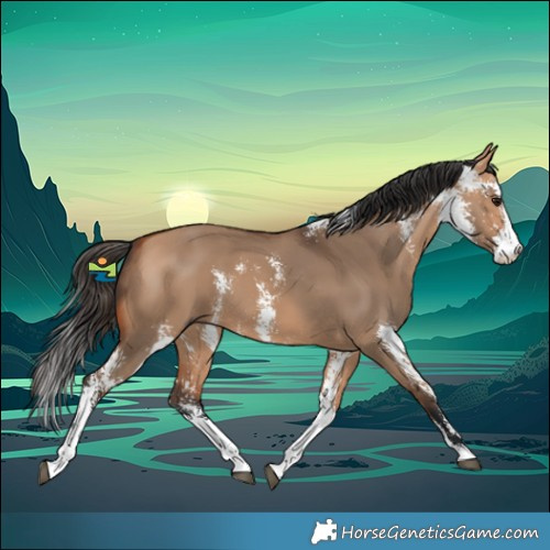 Horse Color:Bay Dun Sabino