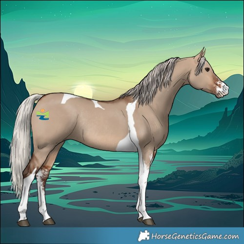 Horse Color:Silver Brown Dun Sabino Tobiano Rabicano 