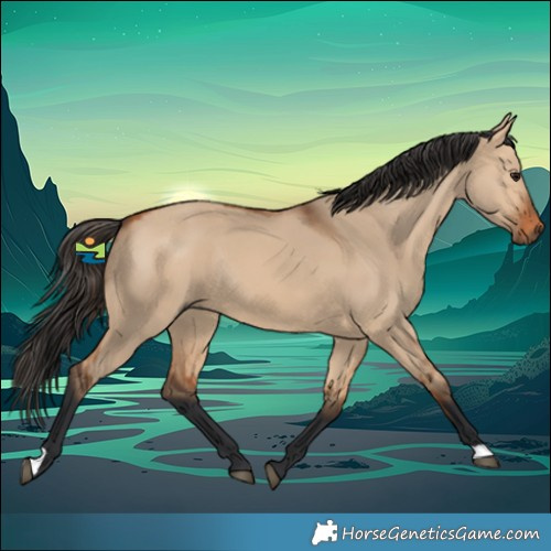Horse Color:Bay Dun Rabicano 