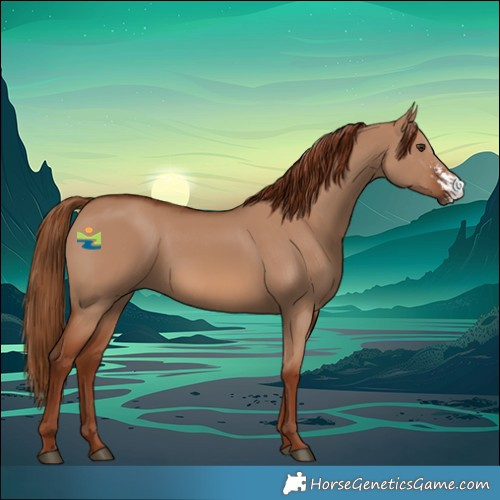 Horse Color:Red Dun Sabino 