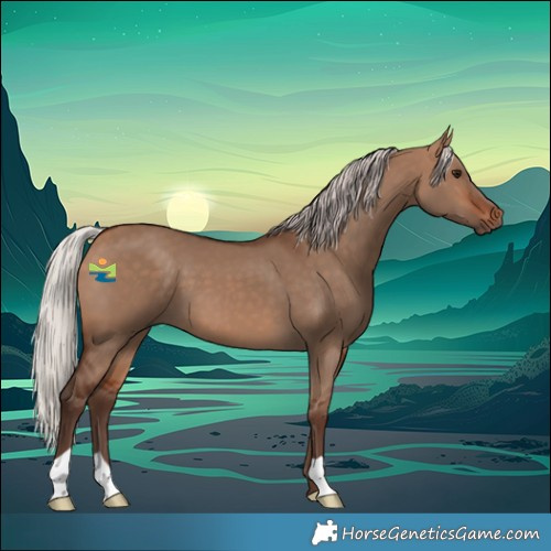 Horse Color:Silver Bay Dun