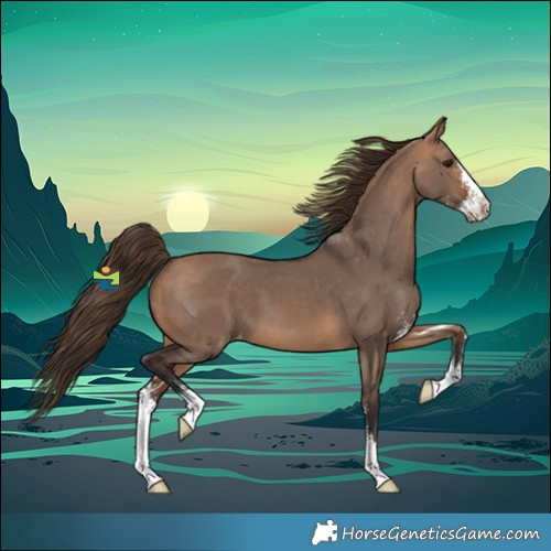 Horse Color:Bay Dun Sabino Varnish