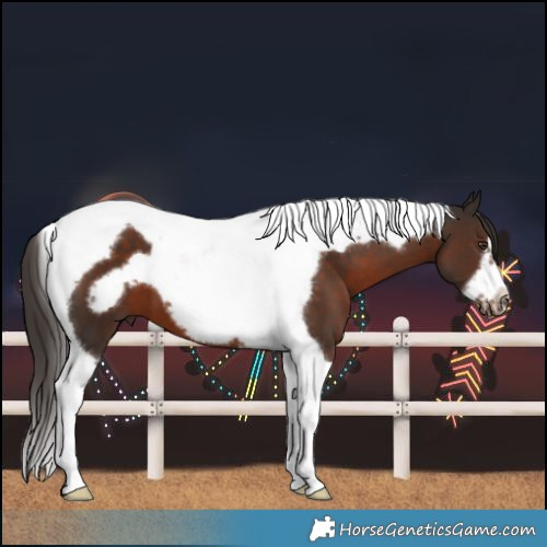 Horse Color:Liver Chestnut Tobiano Frame