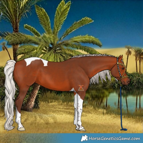 Horse Color:Silver Bay Tobiano 