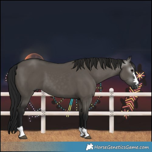 Horse Color:Gray Grullo 