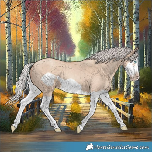 Horse Color:Silver Classic Champagne Dun Splash Frame