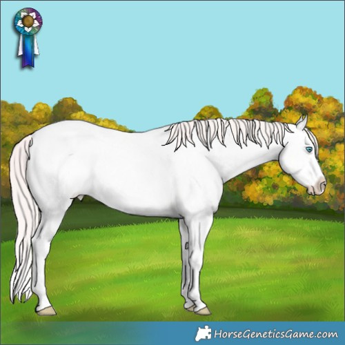 Horse Color:Smoky Creme Roan Dun Splash