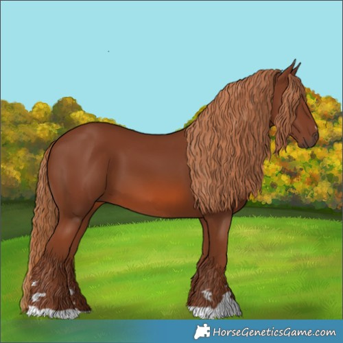 Horse Color:Chestnut 