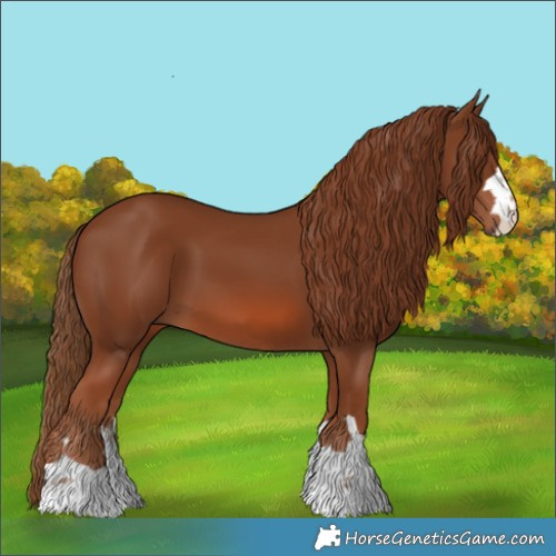 Horse Color:Chestnut 