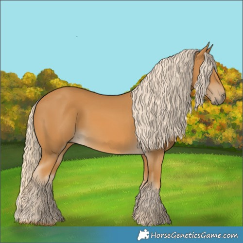 Horse Color:Palomino
