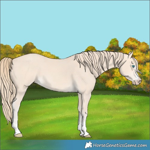 Horse Color:Perlino 