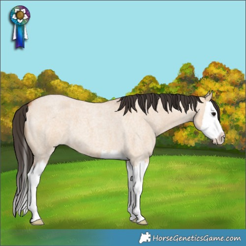 Horse Color:Bay Roan Dun Splash