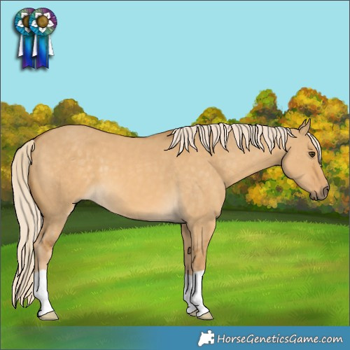Horse Color:Palomino Dun