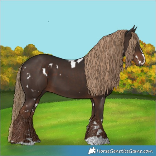 Horse Color:White Spotted Liver Chestnut