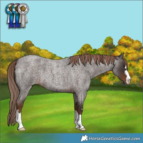 Horse Color:Liver Red Roan 