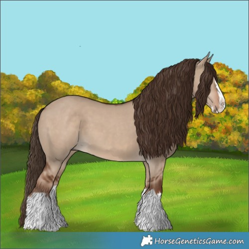 Horse Color:Liver Red Dun Splash