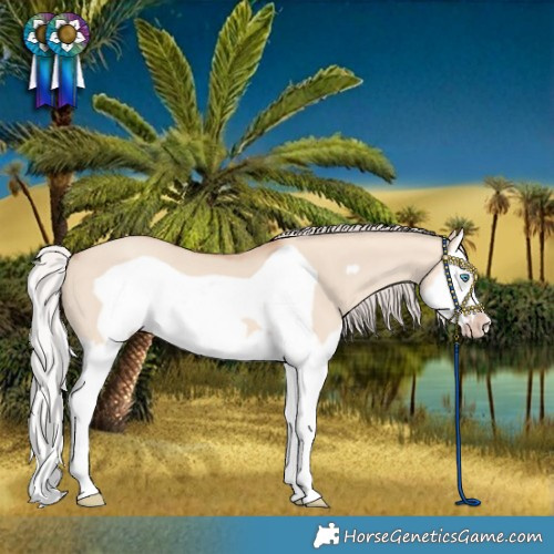 Horse Color:Silver Sable Champagne Dun Splash Frame Rabicano 