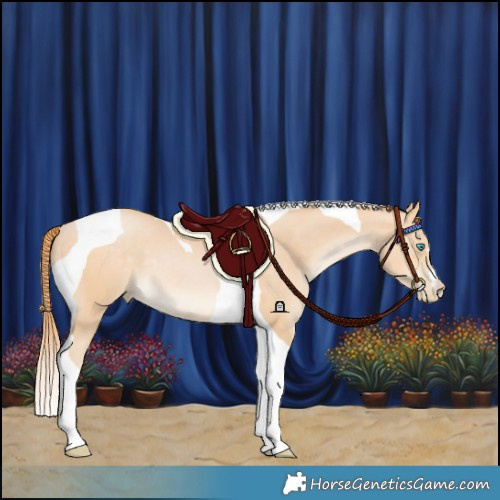 Horse Color:Buckskin Pearl Tobiano 