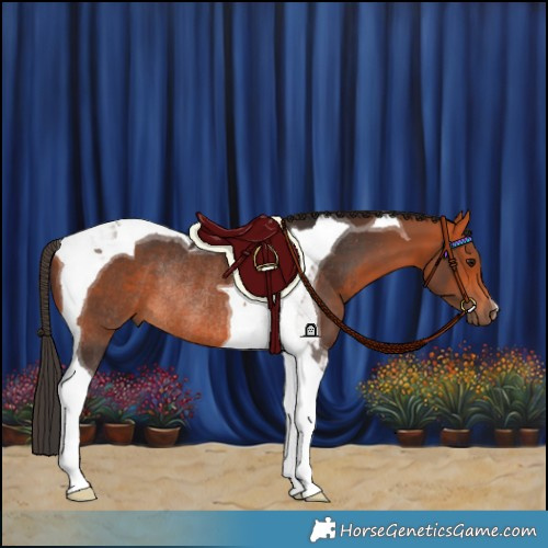 Horse Color:Bay Tobiano Rabicano
