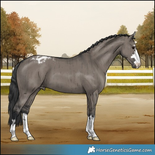Horse Color:Grullo Varnish Brindle 