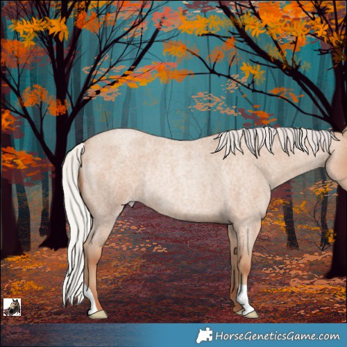 Horse Color:Silver Classic Champagne Roan Rabicano 