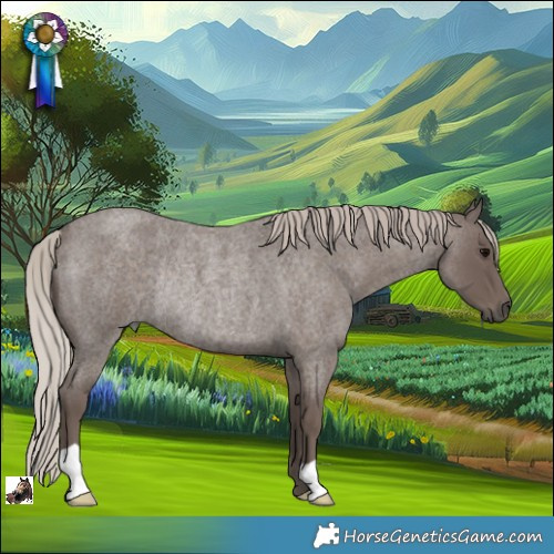 Horse Color:Silver Blue Roan Rabicano