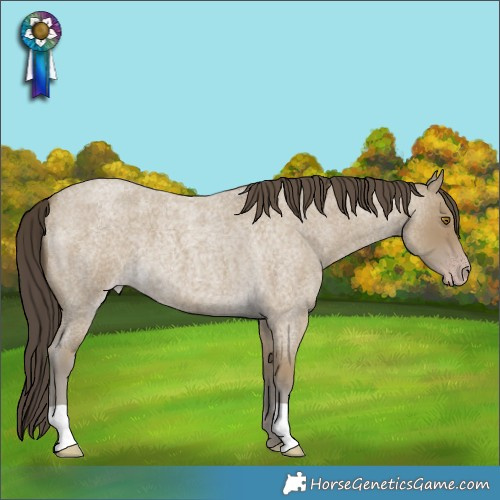 Horse Color:Classic Cream Champagne Roan