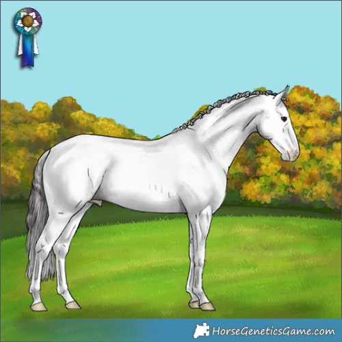 Horse Color:Brown Roan Dun Splash Appaloosa Rabicano 