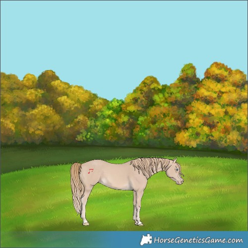 Horse Color:Perlino