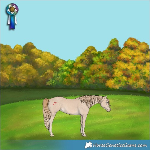 Horse Color:Perlino
