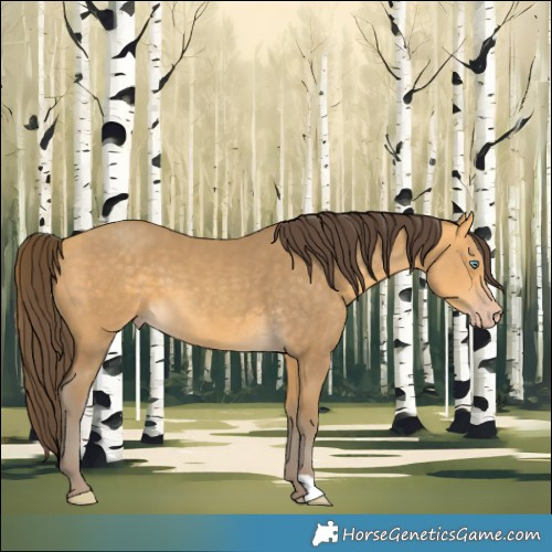 Horse Color:Amber Cream Champagne 