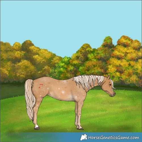 Horse Color:Palomino 