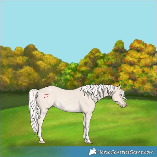Horse Color:Cremello 