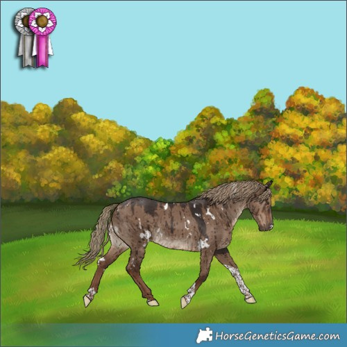 Horse Color:White Spotted Liver Red Dun Tobiano Brindle 