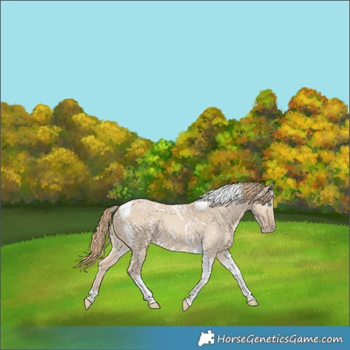 Horse Color:White Spotted Perlino Dun Tobiano Brindle