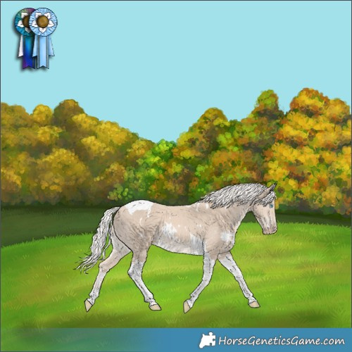 Horse Color:White Spotted Cremello Tobiano