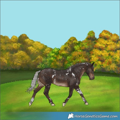 Horse Color:Powder White White Spotted Silver Brown 