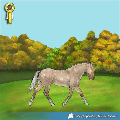 Horse Color:Powder White White Spotted Silver Buckskin Dun Brindle