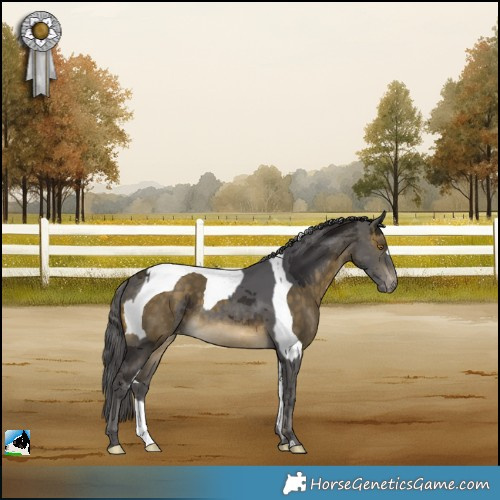Horse Color:Buckskin Dun Tobiano and Buckskin Merle Skewed Appaloosa Rabicano