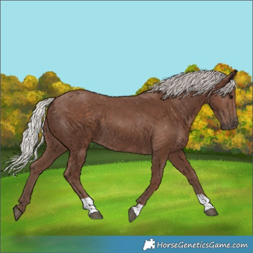 Horse Color:Silver Black