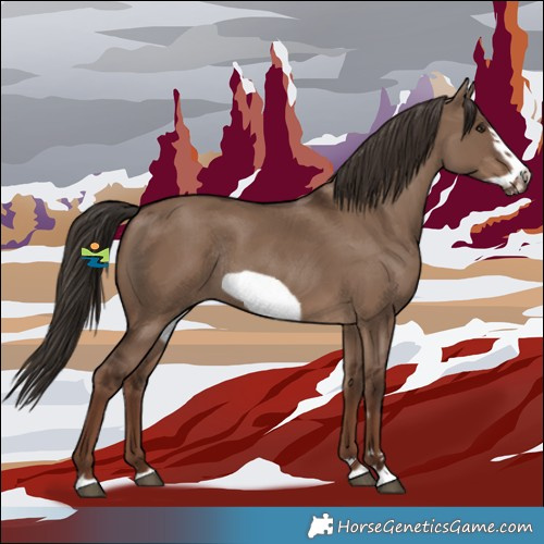 Horse Color:Liver Red Dun Frame Rabicano 