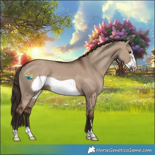 Horse Color:Liver Red Dun Frame Rabicano 