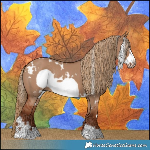 Horse Color:White Spotted Red Dun Frame Rabicano 