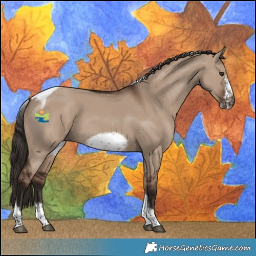 Horse Color:Liver Red Dun Tobiano Frame Rabicano 