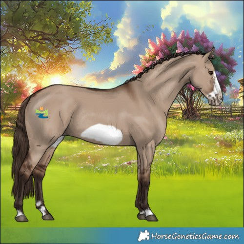 Horse Color:Liver Red Dun Frame Rabicano